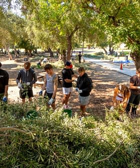 Un grupo de personas recogen ramas de olivo en un parque durante una actividad comunitaria. Olive Oil Times