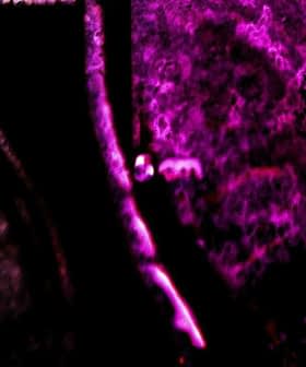 抽象图像具有丰富多彩的纹理，带有紫色、橙色和黑色的色调。 - Olive Oil Times
