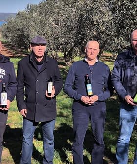 Τέσσερις άντρες στέκονται σε έναν ελαιώνα, κρατώντας ο καθένας ένα μπουκάλι ελαιόλαδο. - Olive Oil Times