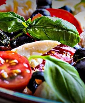 A bowl of mixed salad featuring cherry tomatoes, black olives, and fresh basil leaves. - Olive Oil Times