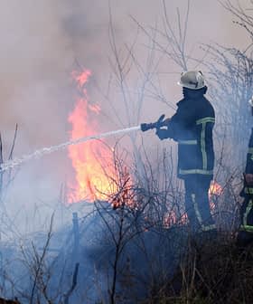 Dois bombeiros usando mangueiras para extinguir chamas durante um incêndio florestal em uma área arborizada. - Olive Oil Times