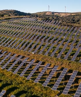 Vista aerea di pannelli solari disposti in file su una collina con turbine eoliche sullo sfondo. - Olive Oil Times