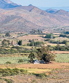 Un paisaje rural con campos, una casa y montañas al fondo. Olive Oil Times