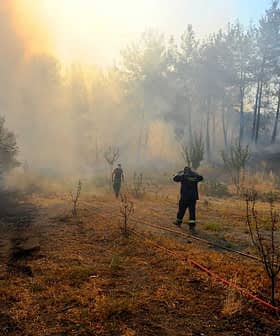 Bombeiros trabalhando para controlar um incêndio florestal em uma área florestal com fumaça subindo ao fundo. - Olive Oil Times