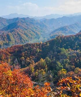 Paysage d'automne vibrant avec des montagnes et un feuillage coloré dans différentes nuances de rouge, d'orange et de jaune. - Olive Oil Times