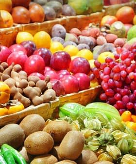 Assortiment coloré de fruits et légumes frais disposés dans des paniers sur un marché. - Olive Oil Times