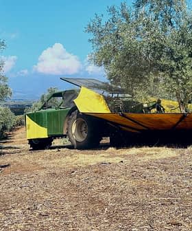 Máquina recolectora de aceitunas con cubierta amarilla y verde estacionada en un olivar. - Olive Oil Times