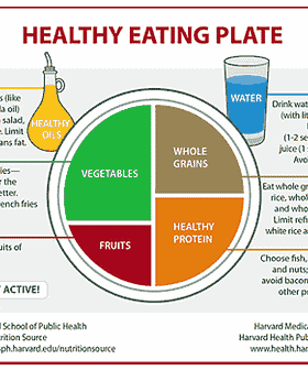 Diagrama que ilustra el Plato de Alimentación Saludable de Harvard con secciones para verduras, frutas, cereales integrales y proteínas saludables. Olive Oil Times