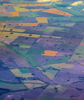Vista aerea che mostra un mosaico di campi agricoli in vari colori e motivi. Olive Oil Times