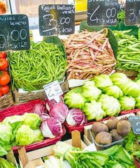 Variety of fresh vegetables including tomatoes, beans, and cabbages displayed at a market stall with price tags. - Olive Oil Times