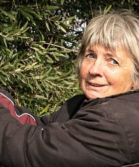Donna con corti capelli grigi che raccoglie le olive da un ulivo. - Olive Oil Times