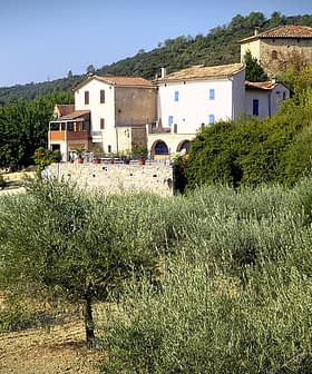 Casas rodeadas de olivos en un paisaje rural con colinas al fondo. - Olive Oil Times