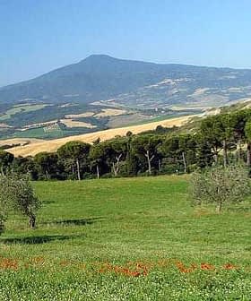 Champs verts avec des oliviers et une montagne en arrière-plan sous un ciel bleu clair. - Olive Oil Times
