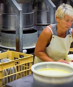पनीर उत्पादन संयंत्र में पनीर के सांचों को संभालती एप्रन पहने महिला। - Olive Oil Times