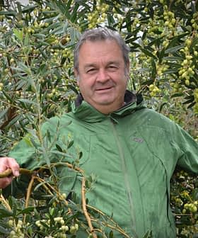 Hombre vestido con una chaqueta verde de pie entre olivos con aceitunas verdes. - Olive Oil Times