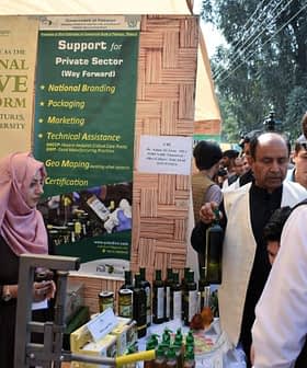 - Bir etkinlikte zeytinyağı ürünleri ve promosyon malzemelerinin sergilendiği stant. Olive Oil Times