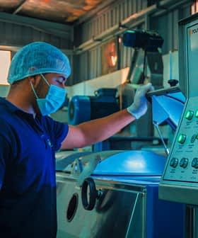 Ein Arbeiter in blauem Hemd und Haarnetz bedient ein Bedienfeld in einer industriellen Umgebung. - Olive Oil Times