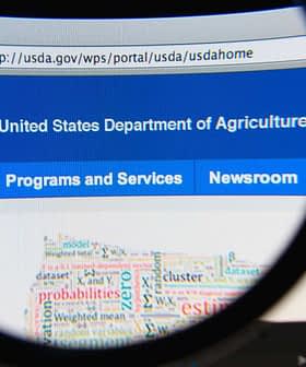 Nahaufnahme der Homepage der USDA-Website auf einem Computerbildschirm. – Olive Oil Times