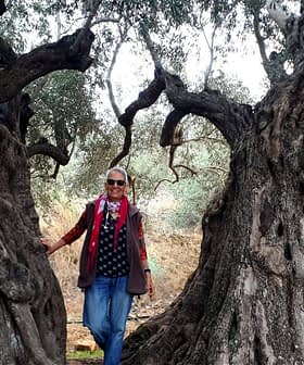 Ατομικό που στέκεται ανάμεσα σε δύο μεγάλες ελιές σε ένα φυσικό περιβάλλον. - Olive Oil Times