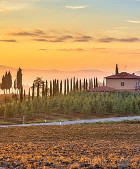 Een schilderachtig uitzicht op een huis omgeven door cipressenbomen in een Toscaans landschap bij zonsopgang. Olive Oil Times