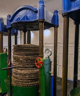 Cuatro prensas de aceite tradicionales con materiales apilados y manómetros en una instalación de procesamiento. Olive Oil Times