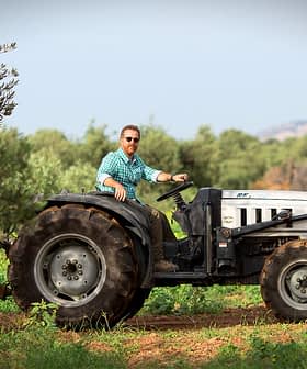 A man with a beard driving a tractor through an olive grove with trees in the background. - Olive Oil Times