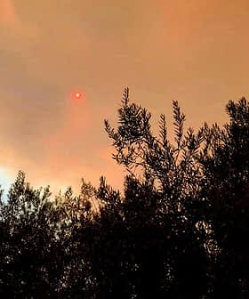 O pôr do sol aparecendo como uma esfera vermelha através de nuvens de fumaça acima das silhuetas das árvores. - Olive Oil Times