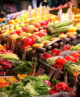 Een kleurrijke uitstalling van diverse verse groenten en fruit, opgesteld in een marktomgeving. Olive Oil Times