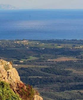 Panoramski pogled na obalu i udaljeni otok sa kamenjara. - Olive Oil Times