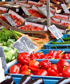 Colorful assortment of fresh vegetables and fruits arranged in crates at a market. - Olive Oil Times