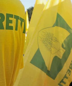 屋外イベントで、背中に「COLDIRETTI」とプリントされた黄色い T シャツを着ている人々。 - Olive Oil Times