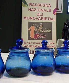 Quatre pots en verre bleu disposés en rangée lors d'un événement sur l'huile d'olive avec une bannière promotionnelle en arrière-plan. - Olive Oil Times
