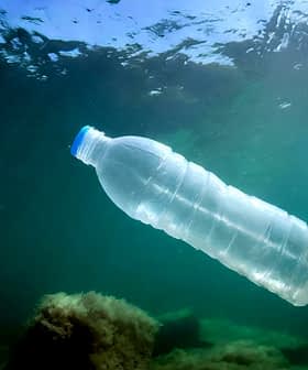 Eine durchsichtige Plastikwasserflasche schwimmt unter Wasser, während das Sonnenlicht durch die Oberfläche fällt. – Olive Oil Times
