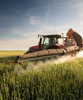Красный трактор вносит пестициды на пшеничное поле под ясным небом. Olive Oil Times