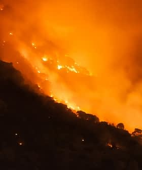 Uma encosta tomada pelas chamas durante um incêndio florestal, com fumaça e brilho alaranjado visíveis. - Olive Oil Times