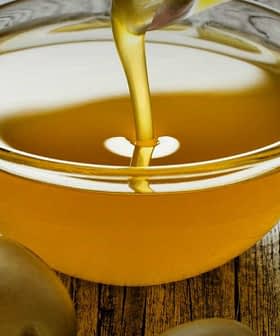 Uma tigela de azeite de oliva sendo servida, cercada por azeitonas verdes frescas sobre uma superfície de madeira. Olive Oil Times