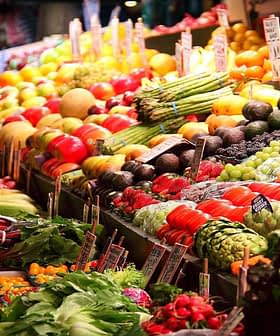 Exposição colorida de frutas e vegetais frescos dispostos em uma barraca de mercado. - Olive Oil Times