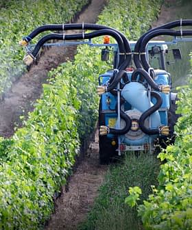 Trator equipado com aparelho de pulverização trabalhando em um vinhedo com fileiras de videiras. - Olive Oil Times