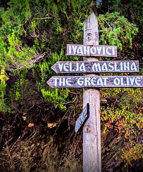 Hölzerner Wegweiser mit Richtungspfeilen, die nach Iyanovici, Velia Maslina und zur Großen Olive zeigen. - Olive Oil Times