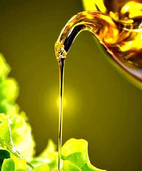 Oljčno olje, ki ga iz steklenice polijemo na rezine sveže zelene solate in kumare. - Olive Oil Times