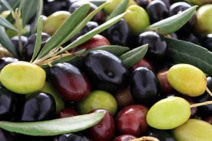 Mešanica zelenih, črnih in vijoličnih oliv z oljčnimi listi, raztresenimi med njimi. - Olive Oil Times
