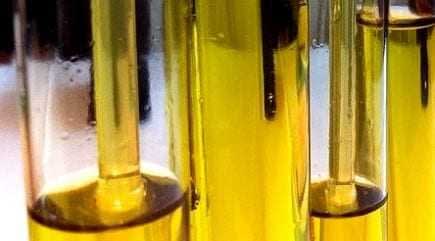 Test tubes filled with olive oil arranged in a row, showing the liquid's color and clarity. - Olive Oil Times