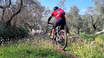 A mountain biker in a red shirt and backpack riding on a trail surrounded by olive trees and wildflowers. - Olive Oil Times
