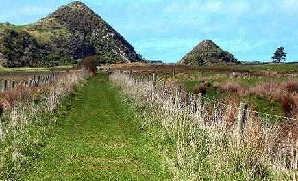 A grassy pathway bordered by fences leading towards two hills in Otago, New Zealand. - Olive Oil Times
