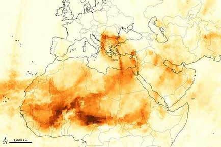 クレタ島のオリーブオイル生産者に悪風で大打撃