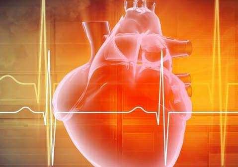 Illustration of a human heart with an electrocardiogram line in the background. - Olive Oil Times