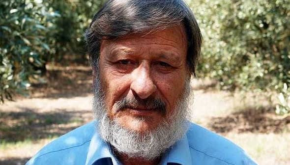 A man with a beard wearing a blue shirt, standing in an olive grove. - Olive Oil Times
