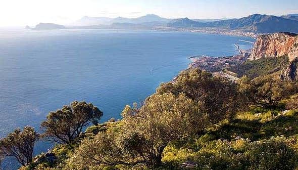 A panoramic view of the coastline in Sicily, featuring water, hills, and vegetation. - Olive Oil Times