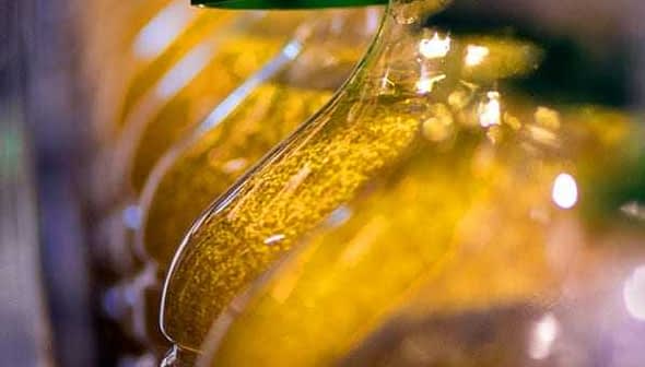 Row of glass bottles filled with olive oil on a production line with green caps. - Olive Oil Times