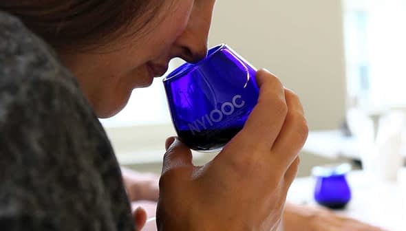Individual holding a blue glass cup while smelling olive oil during a tasting session. - Olive Oil Times